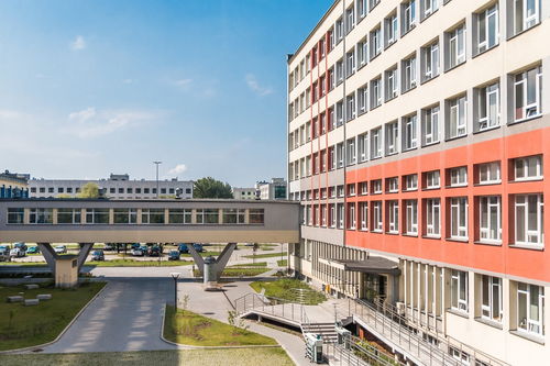 开云官网首页-中国青少年篮球课程体系现代化建设，《中国青少年篮球训练教学大纲(2013版)》