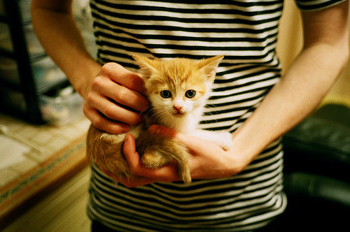 女子橄榄球商业价值快速上升，女子橄榄球运动