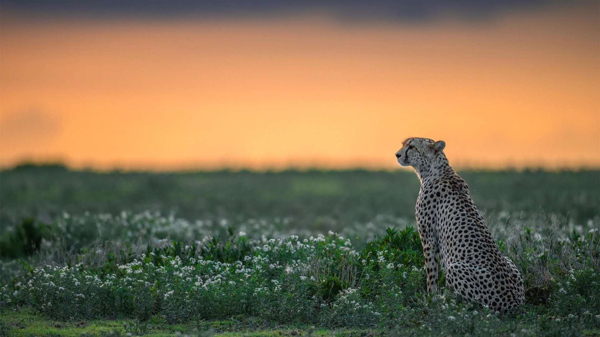 替补轮换合理,比赛强度分布科学,轮换和替补
